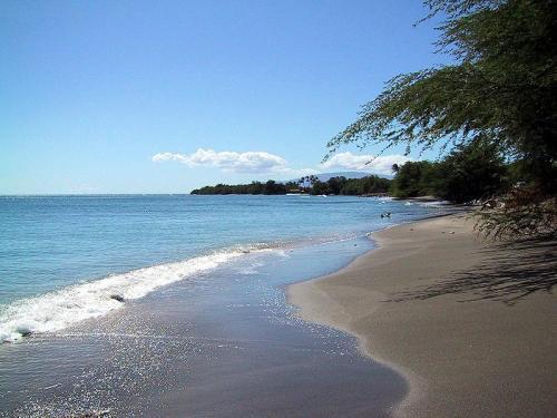 אפרטהוטל קיהיי Maui Suncoast Maui Vista מתקנים תמונה